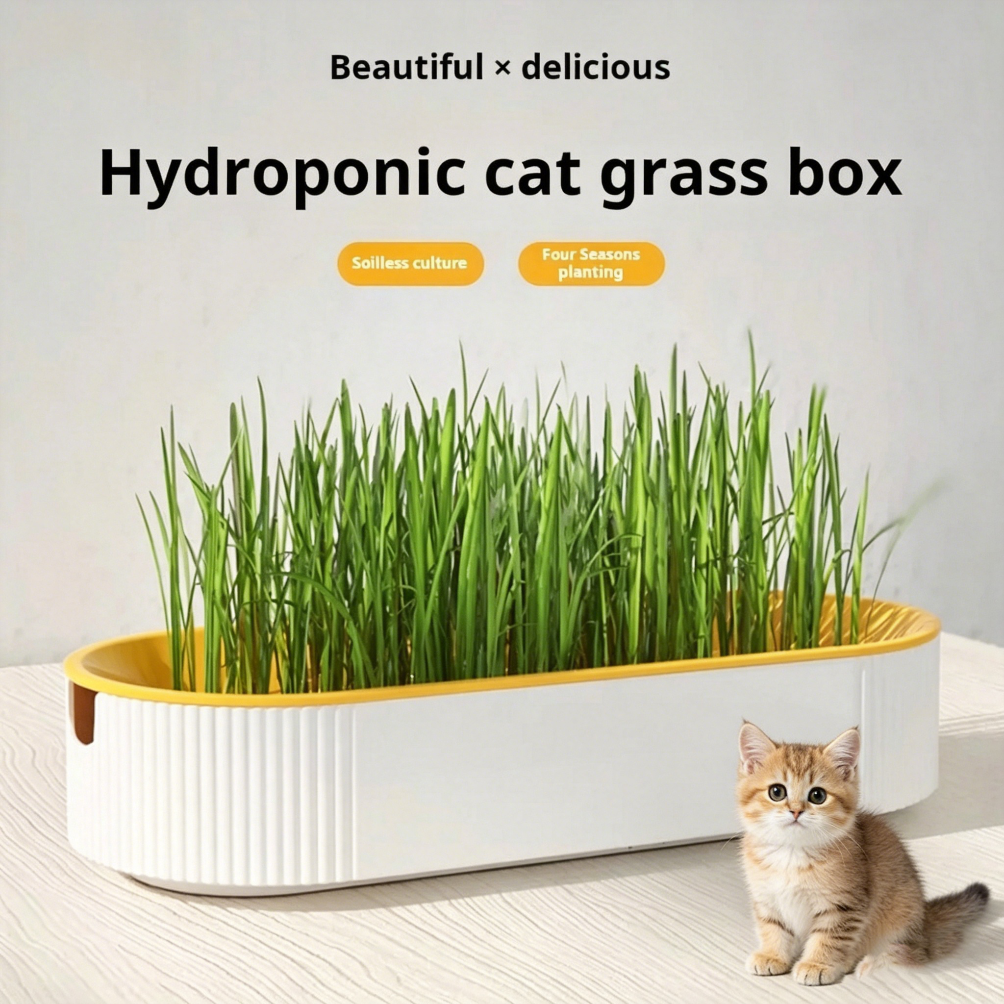 Food Storage Plants - Easy Growth Hydroponic Cat Grass Box