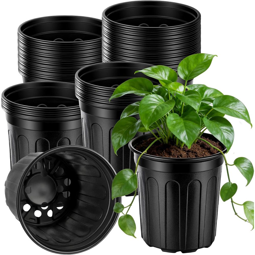 Food Storage Plants - 1 Gallon Nursery Pots - 65