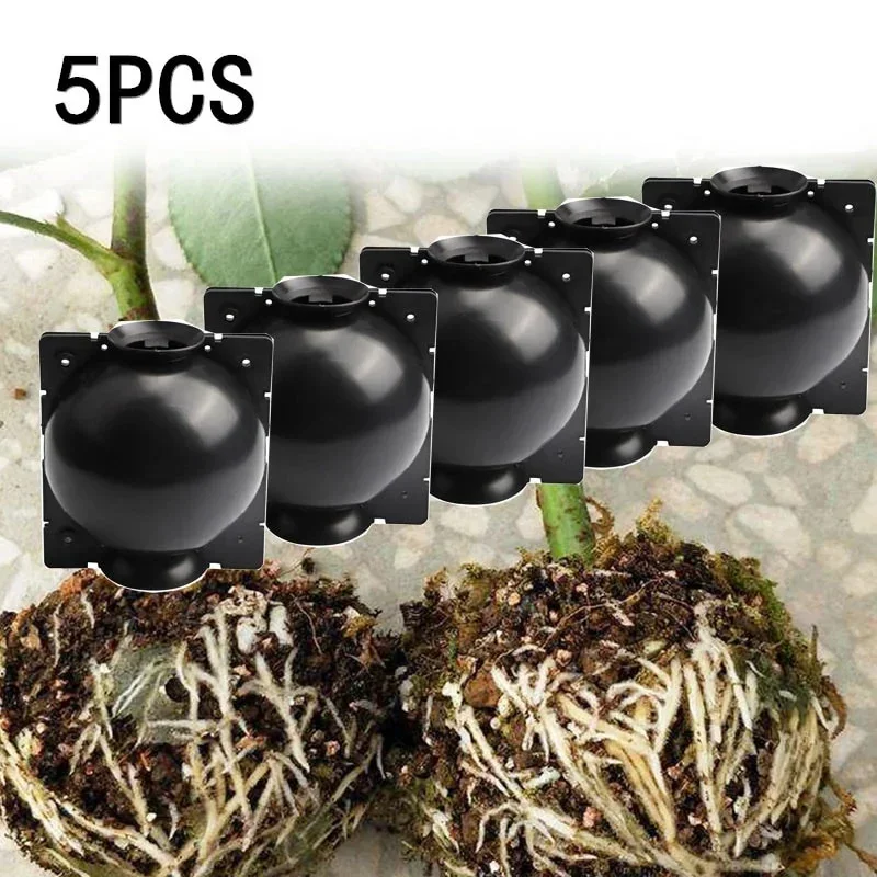 Food Storage Plants - 5 Pcs Practicality Plant Rooting Ball