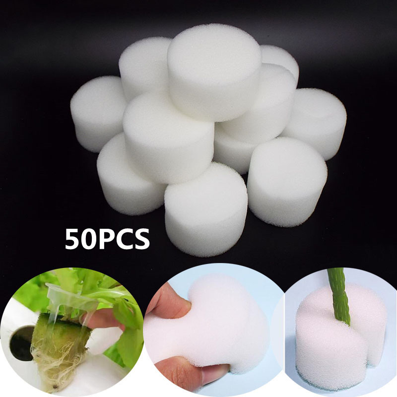 Food Storage Plants - 50pcs White Sponge for Hydroponic Baskets
