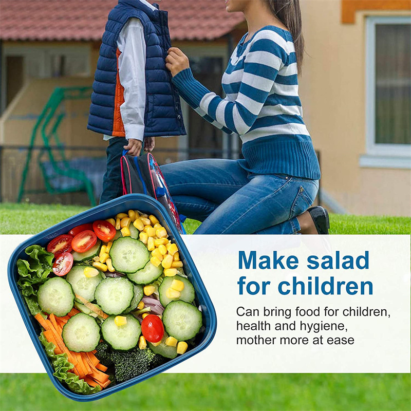 Portable Salad Lunch Container - Food Storage Box Large のレビューと価格