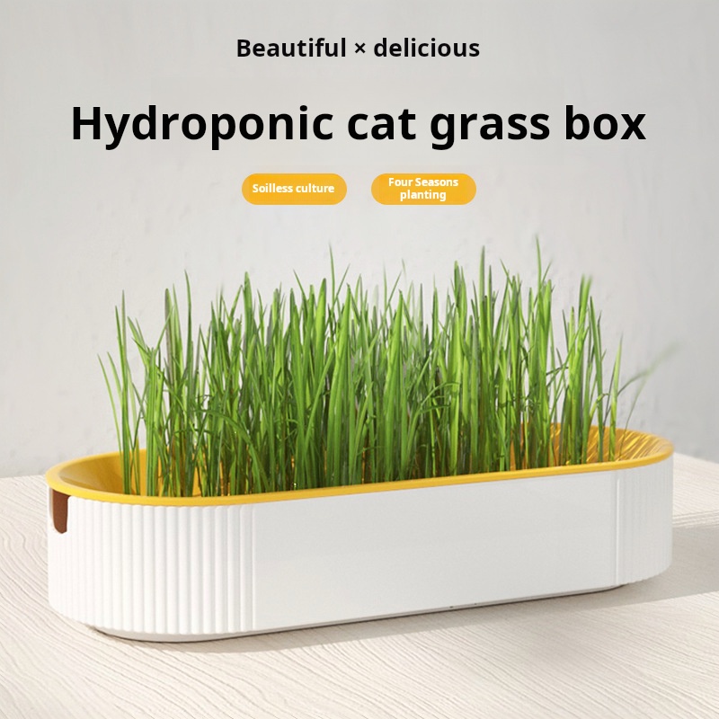 Easy Growth Hydroponic Cat Gra - Food Storage Plants のレビューと価格