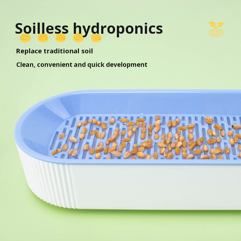 Easy Growth Hydroponic Cat Gra - Food Storage Plants のレビューと価格