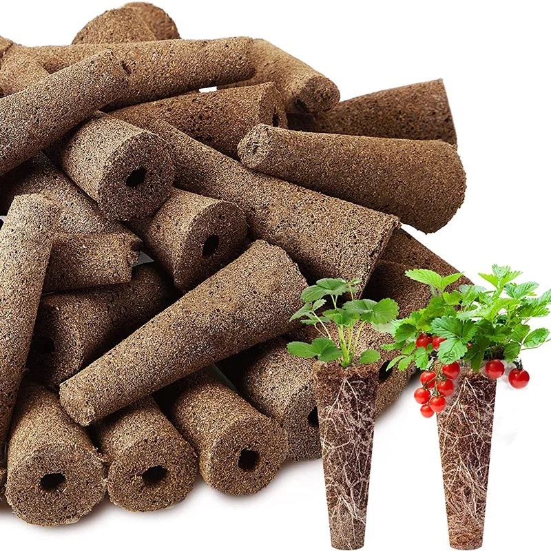100Pcs Seed Grow Sponges Repla - Food Storage Plants のレビューと価格