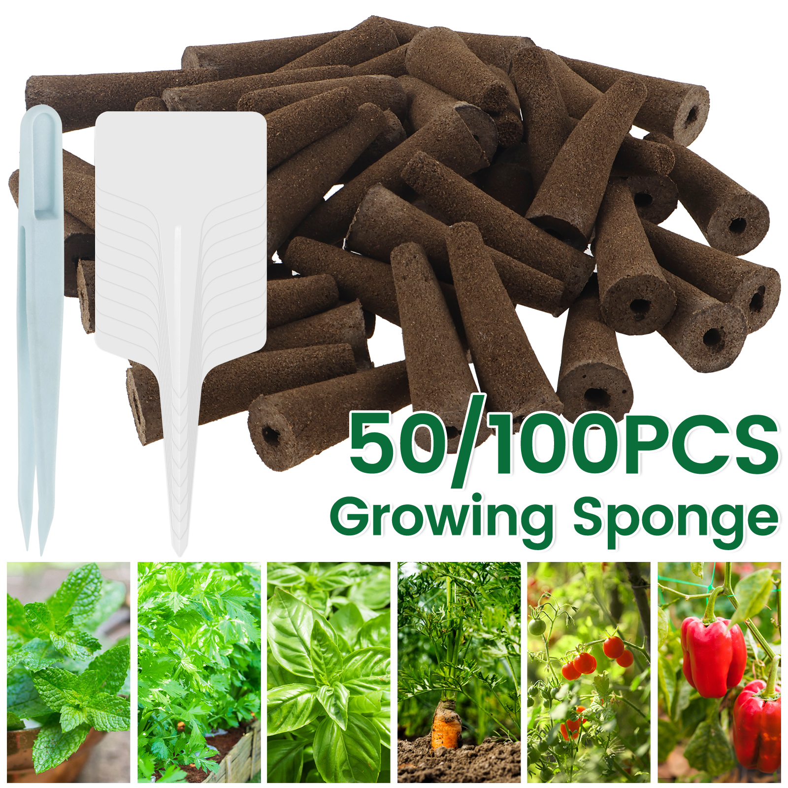100Pcs Seed Grow Sponges Repla - Food Storage Plants のレビューと価格