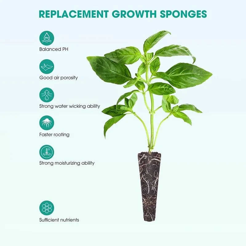 100Pcs Seed Grow Sponges Repla - Food Storage Plants のレビューと価格