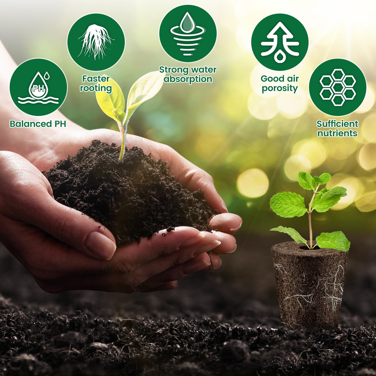 100Pcs Seed Grow Sponges Repla - Food Storage Plants のレビューと価格