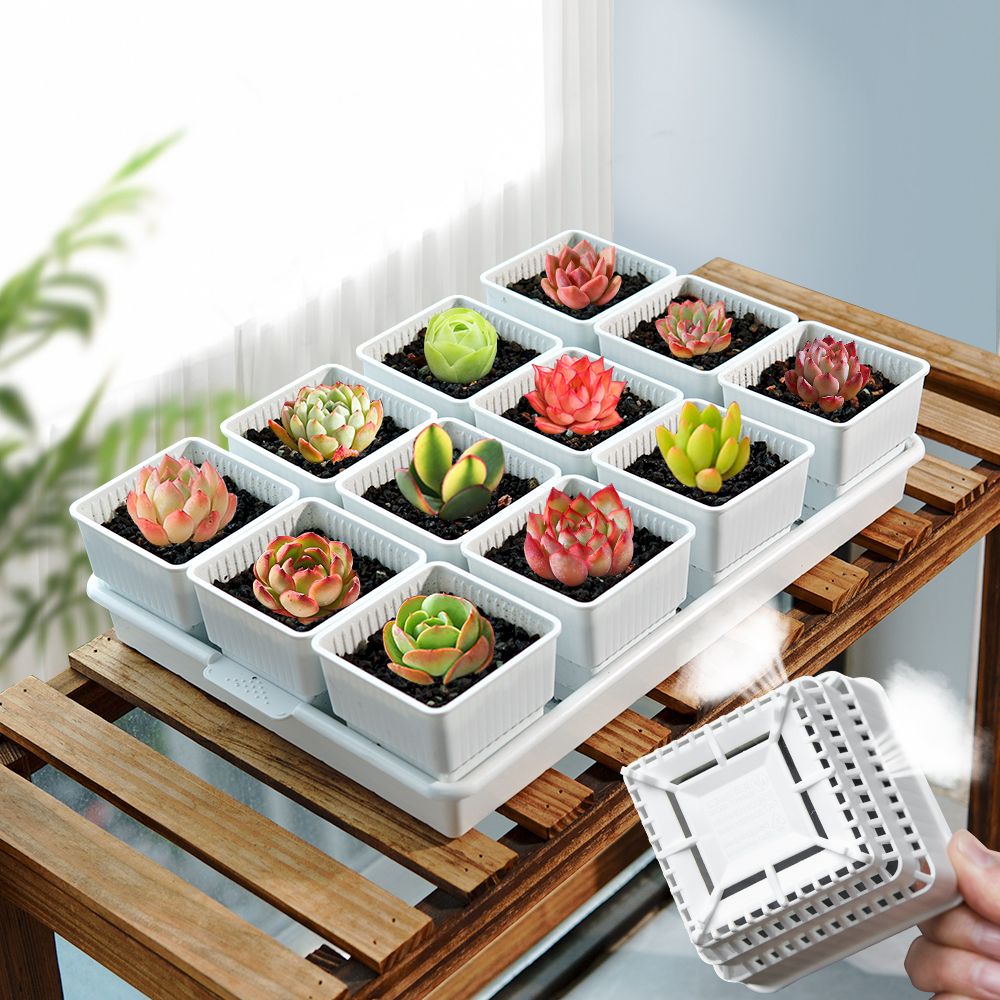 Meshpot Succulent Pot Plastic  - Food Storage Plants のレビューと価格