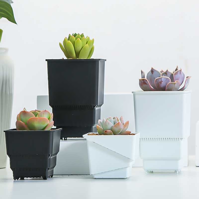 Meshpot Succulent Pot Plastic  - Food Storage Plants のレビューと価格