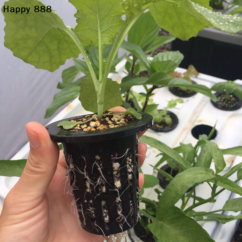 25 Pieces Of Hydroponic Basket - Food Storage Plants のレビューと価格