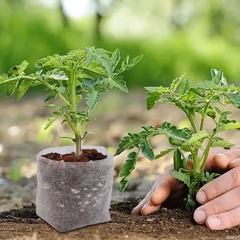 Non-woven Plant Nursery Bags F - Food Storage Plants のレビューと価格