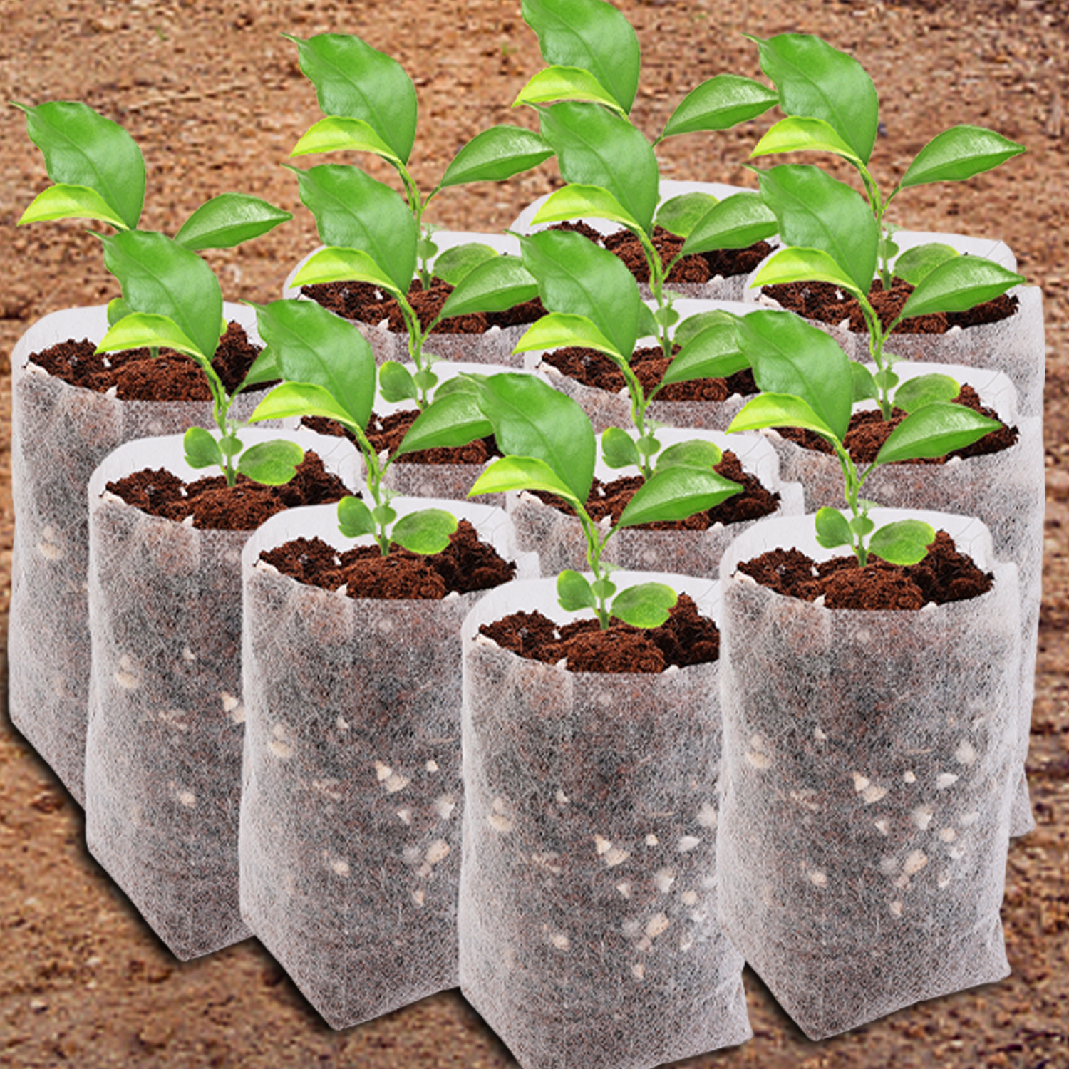 Non-woven Plant Nursery Bags F - Food Storage Plants のレビューと価格