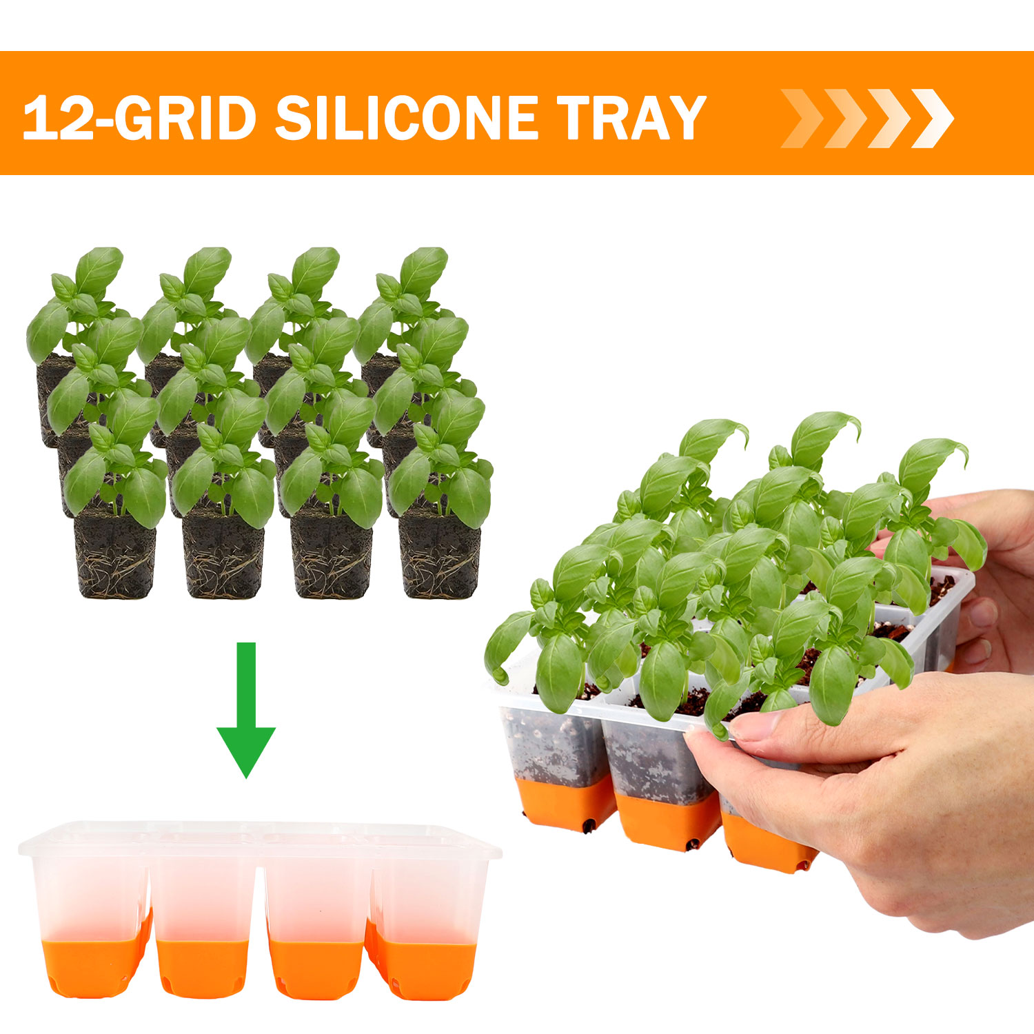 5/10 Orange Seed Starter Tray  - Food Storage Plants のレビューと価格