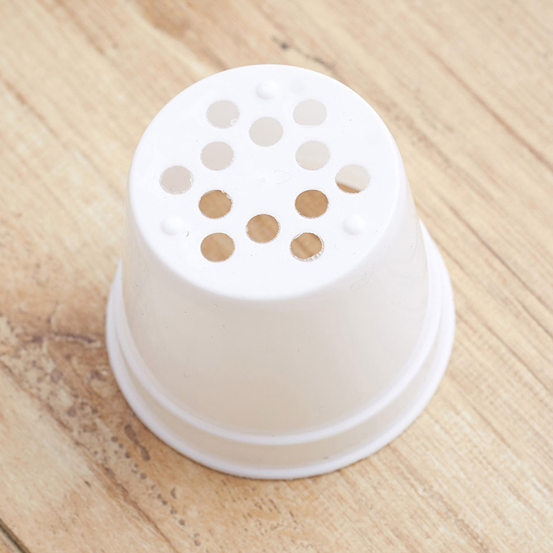 10/20pcs Round Plastic Flowerp - Food Storage Plants のレビューと価格