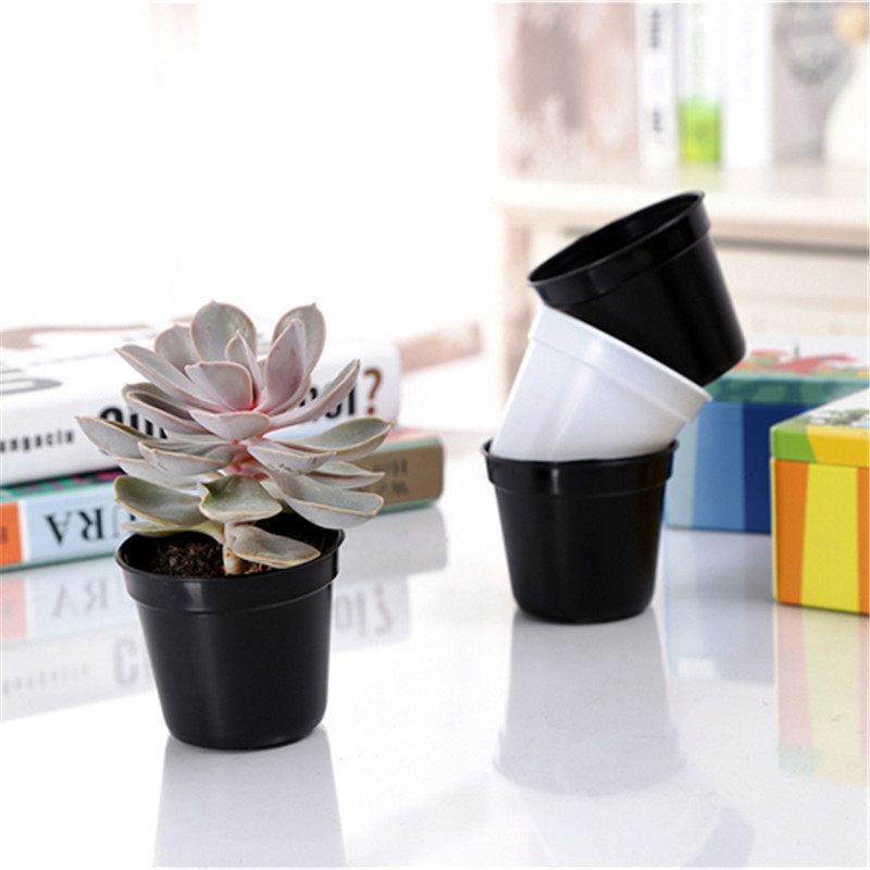 10/20pcs Round Plastic Flowerp - Food Storage Plants のレビューと価格