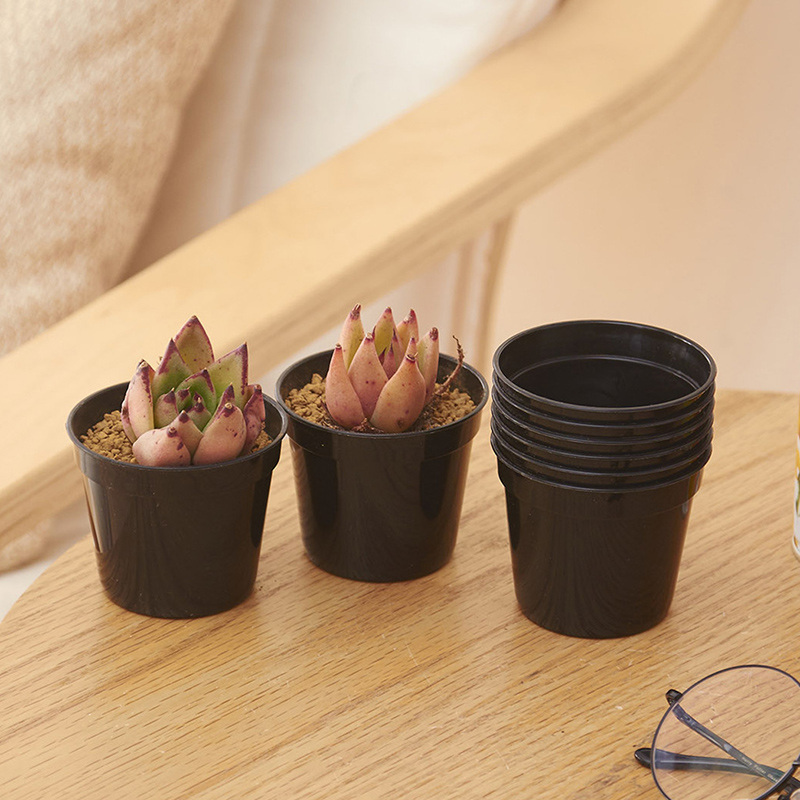 10/20pcs Round Plastic Flowerp - Food Storage Plants のレビューと価格