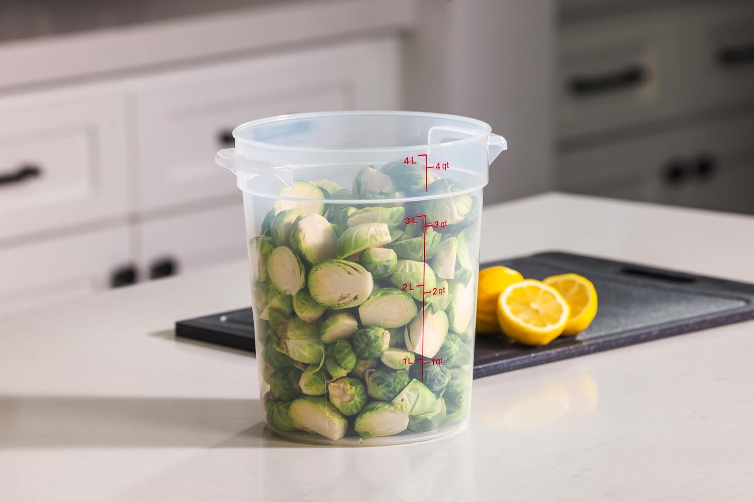 4 Quart Food Storage Container - Food Storage Quart Containers のレビューと価格