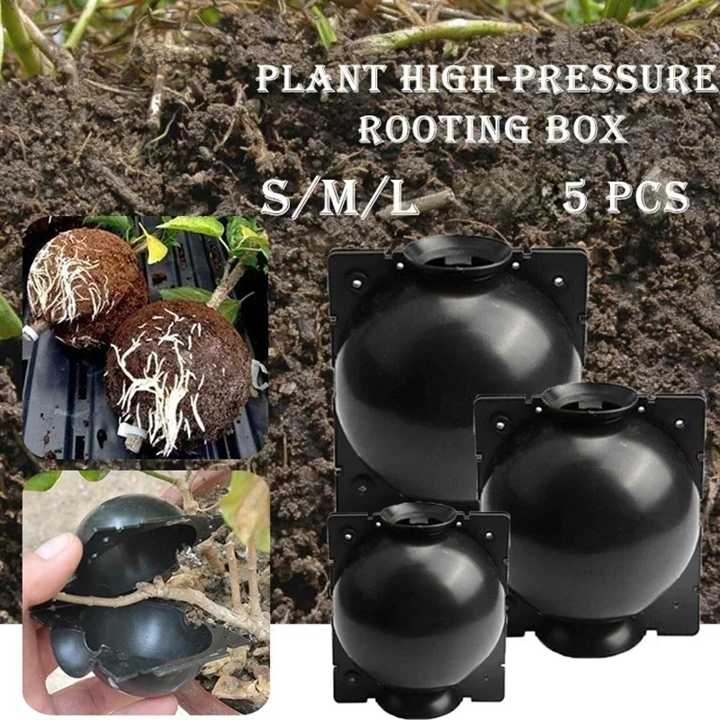 5 Pcs Practicality Plant Rooti - Food Storage Plants のレビューと価格