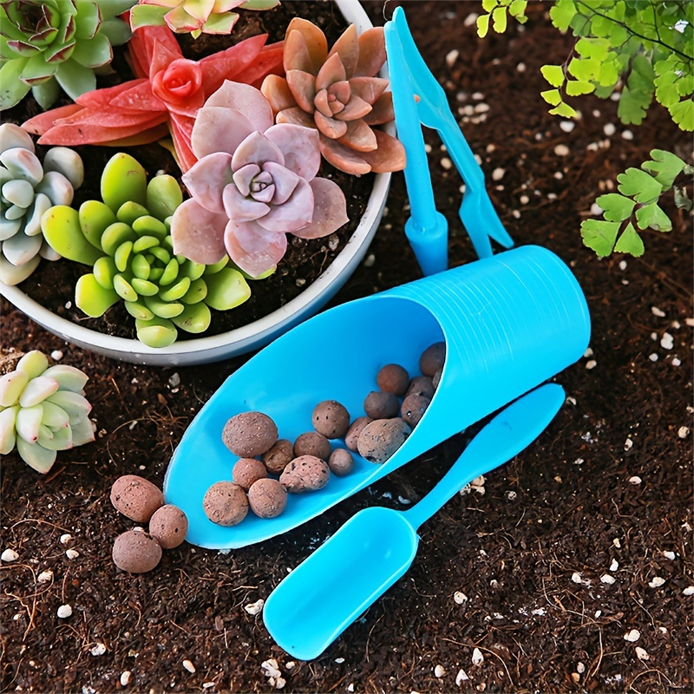 4-Piece Set of Succulent Garde - Food Storage Plants のレビューと価格
