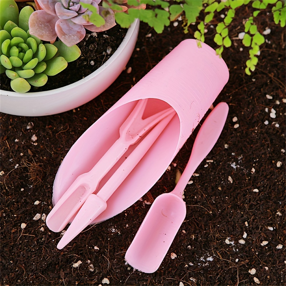 4-Piece Set of Succulent Garde - Food Storage Plants のレビューと価格
