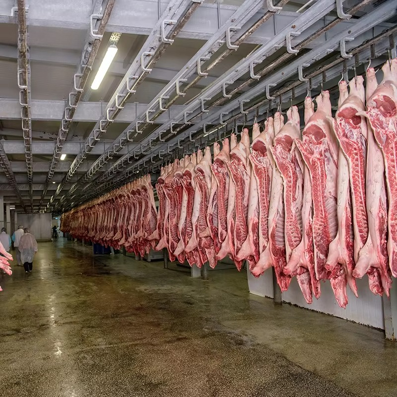Cold Storage Room Slaughter Ho - Food Storage In Room のレビューと価格
