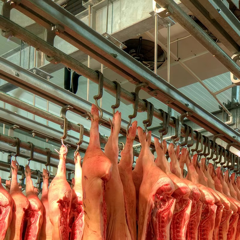 Cold Storage Room Slaughter Ho - Food Storage In Room のレビューと価格