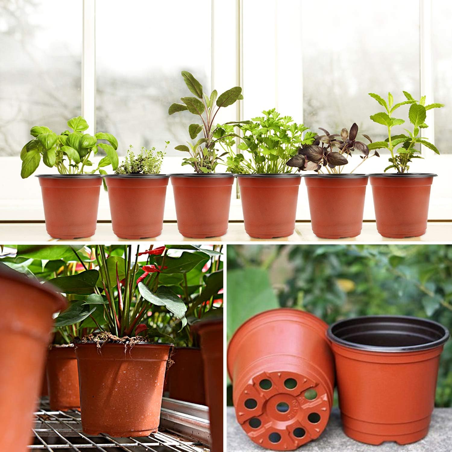 100/20x Plastic Plant Nursery  - Food Storage Plants のレビューと価格