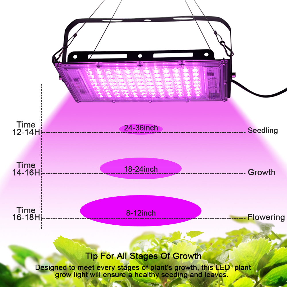 Full Spectrum LED Grow Light P - Food Storage Plants のレビューと価格