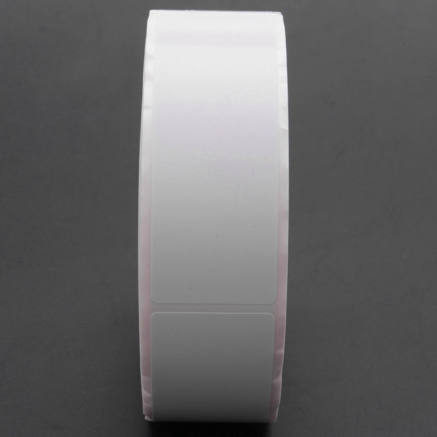 Best-2X Removable Freezer Labe - Best Food Storage のレビューと価格