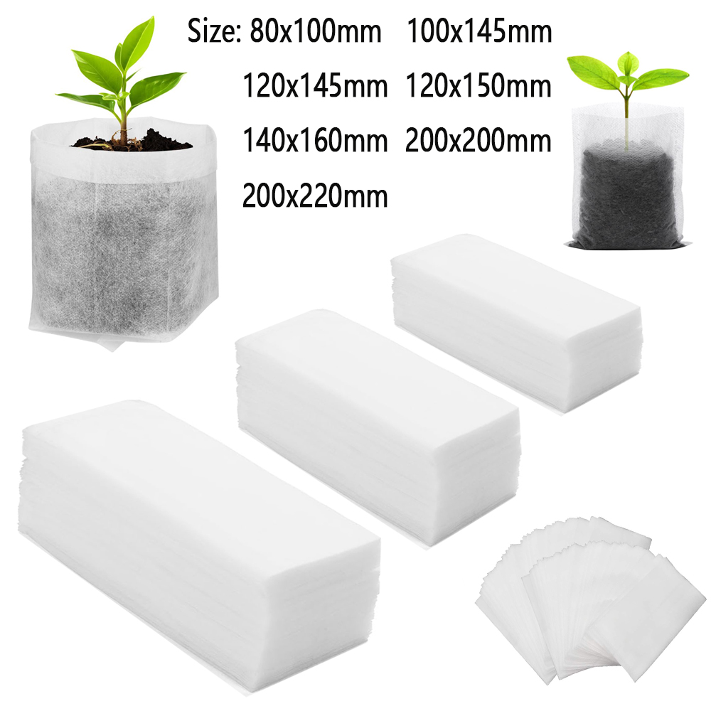 25/50/100pcs Different Sizes N - Food Storage Plants のレビューと価格