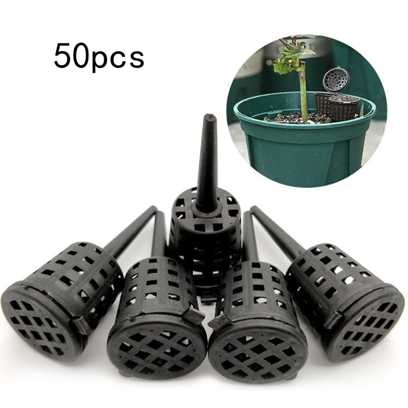 50 Pcs/pack Plants Fertilizer  - Food Storage Plants のレビューと価格
